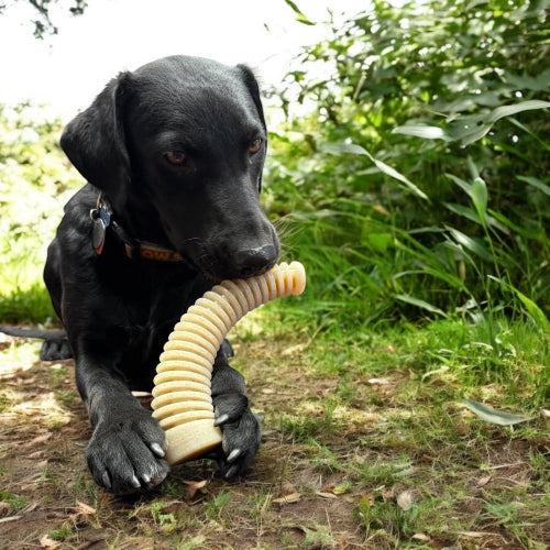 Honey Bone Dental Antler Echew Ultra Durable Nylon Dog Chew Toy - Xl