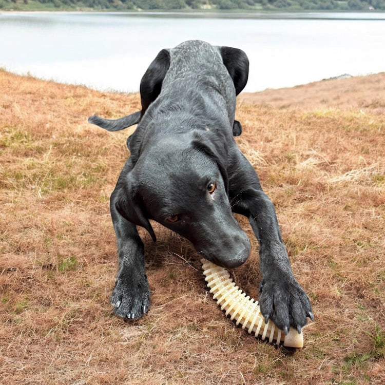 Honey Bone Dental Antler Echew Ultra Durable Nylon Dog Chew Toy - Xl
