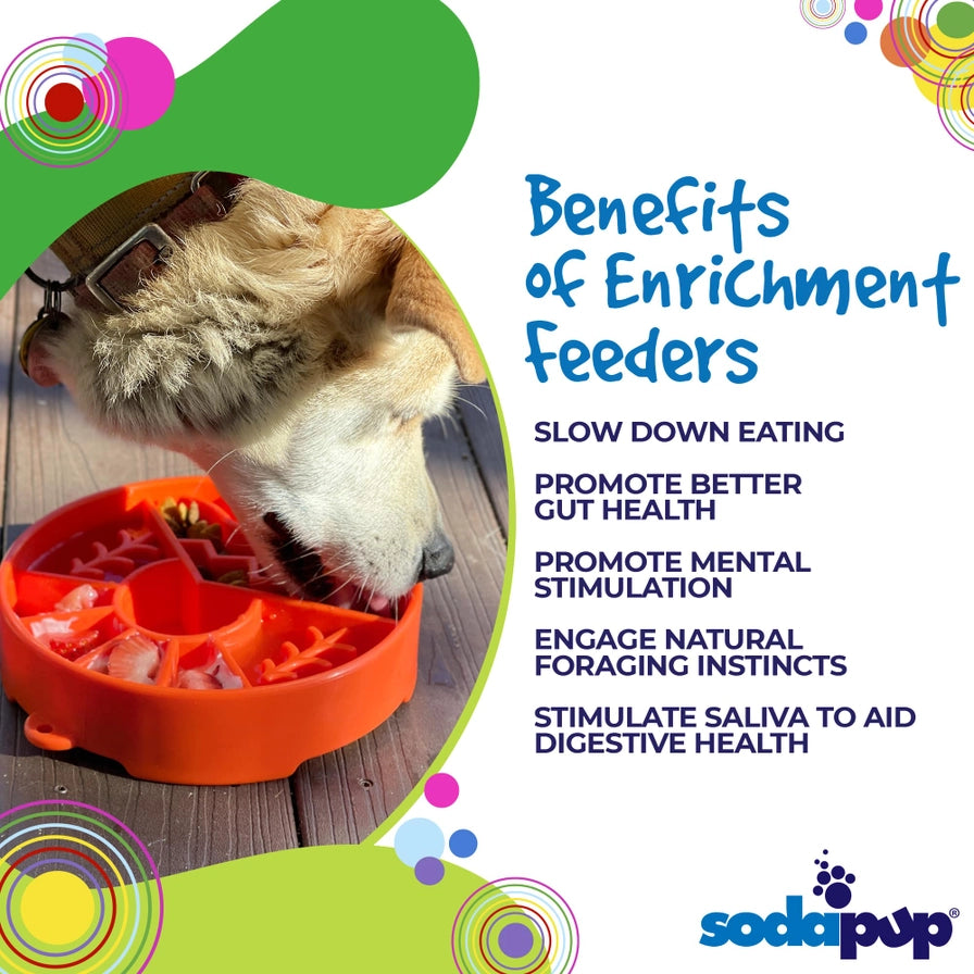 Great Outdoors Design Ebowl Enrichment Slow Feeder Bowl