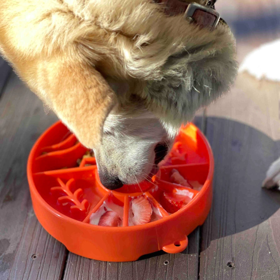 Great Outdoors Design Ebowl Enrichment Slow Feeder Bowl