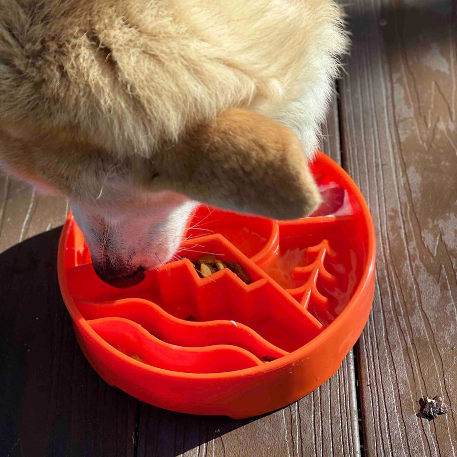 Great Outdoors Design Ebowl Enrichment Slow Feeder Bowl