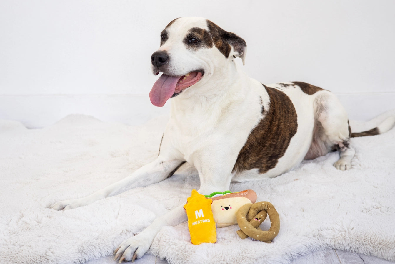 Plush Dog Toys For Supervised Play