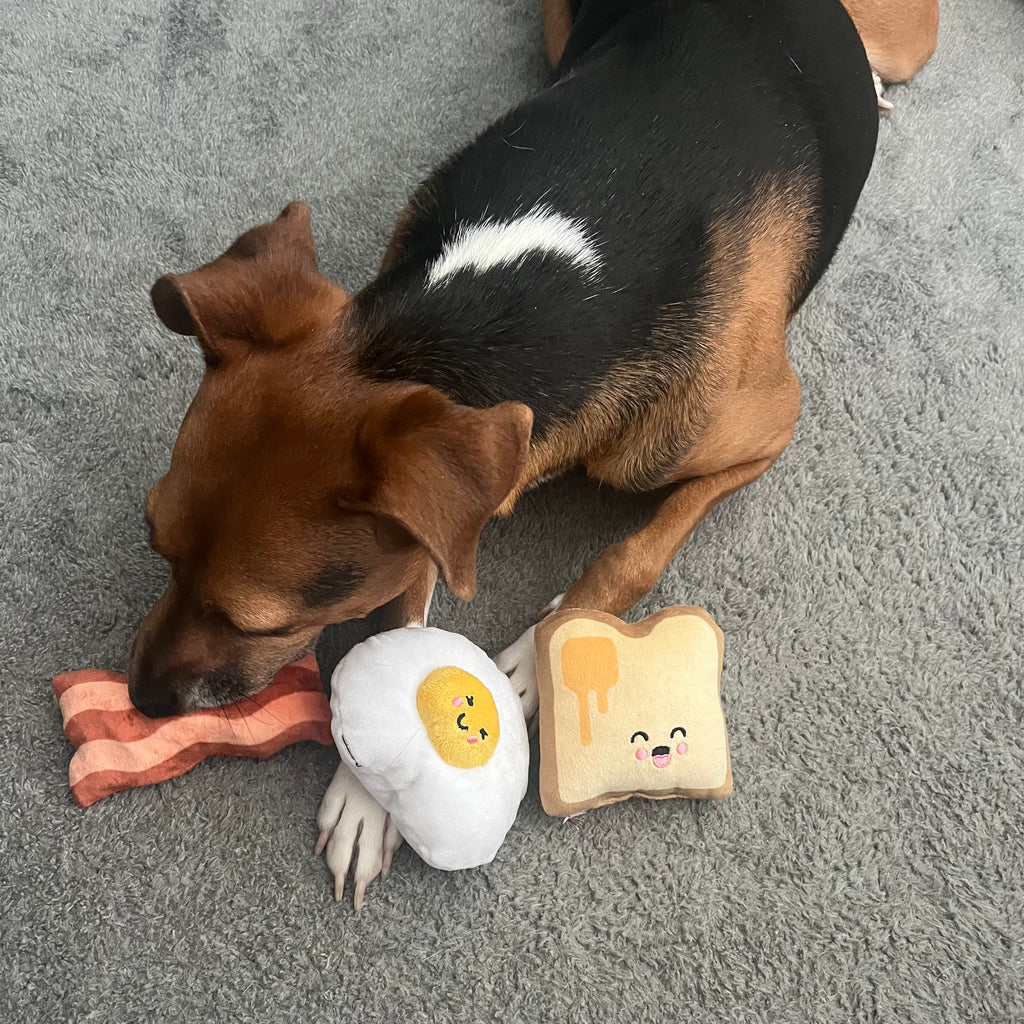 Plush Dog Toys For Supervised Play