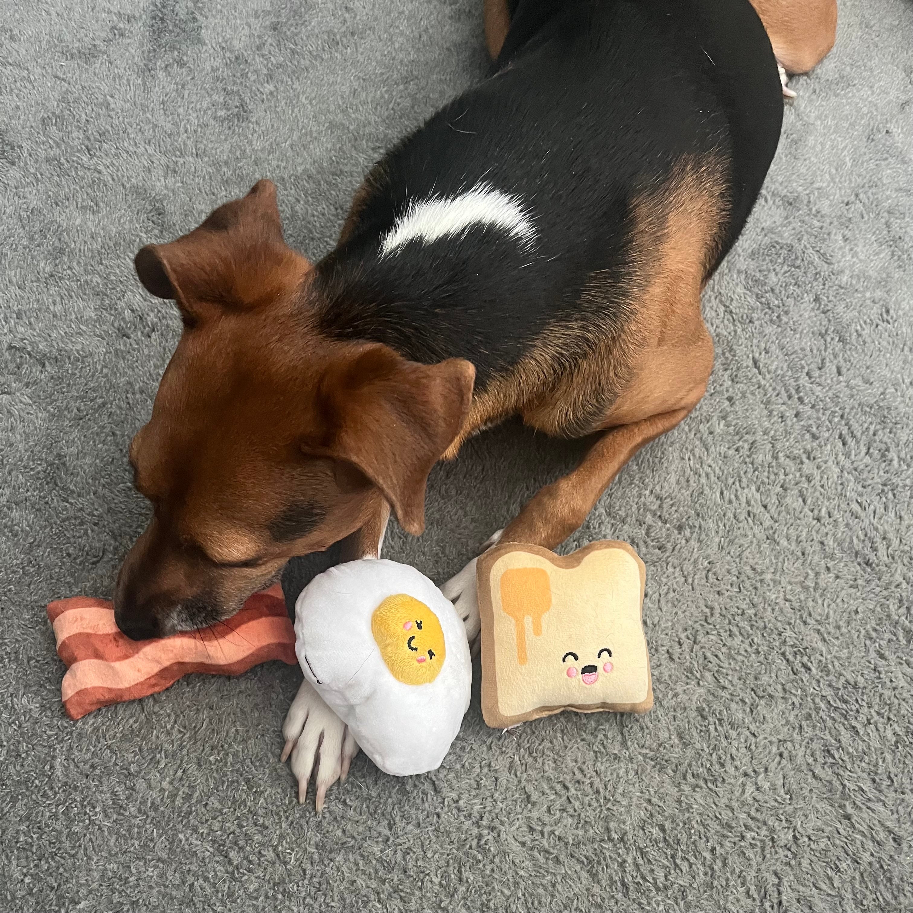 Plush Dog Toys For Supervised Play