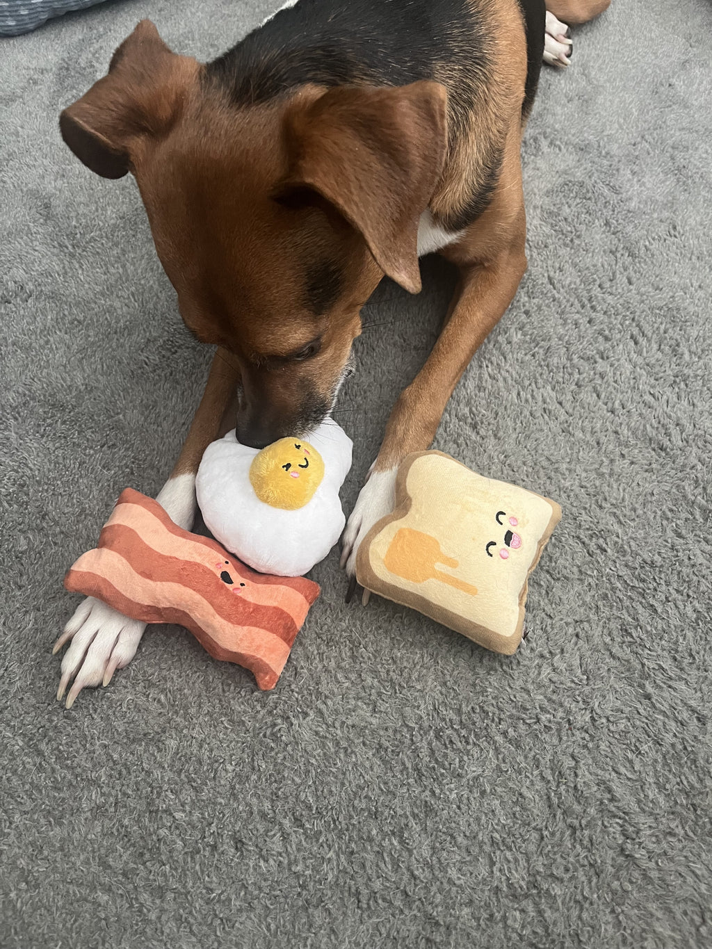 Plush Dog Toys For Supervised Play