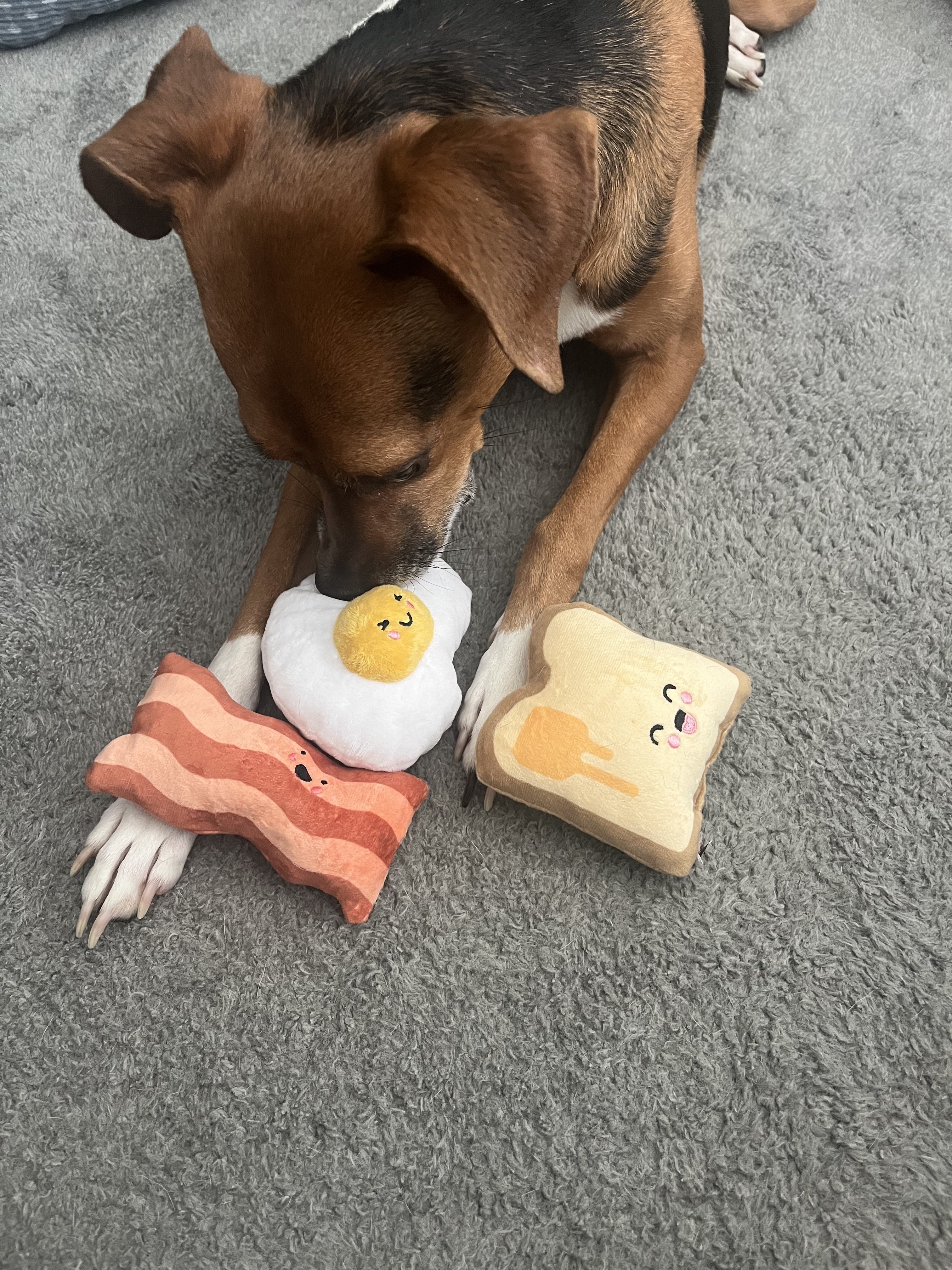 Plush Dog Toys For Supervised Play