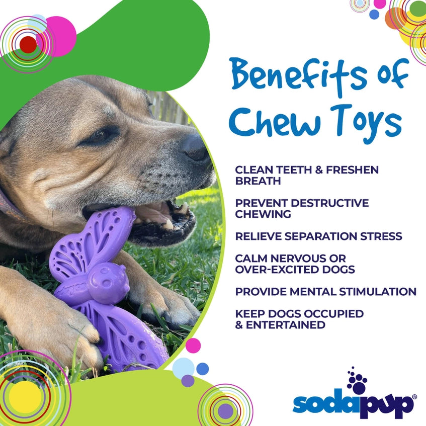 Butterfly Nylon Chew & Enrichment Toy