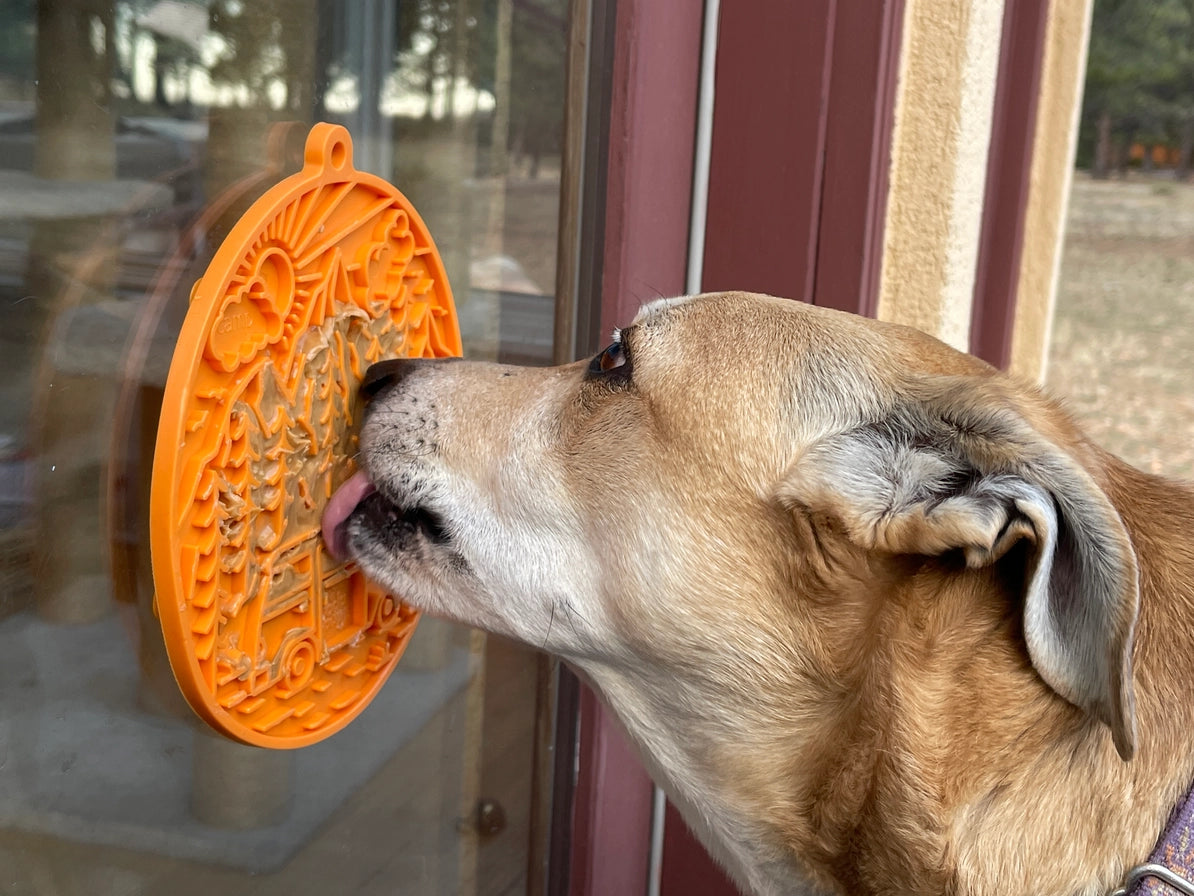 Camp Enrichment Lick Mat with Suction Cups