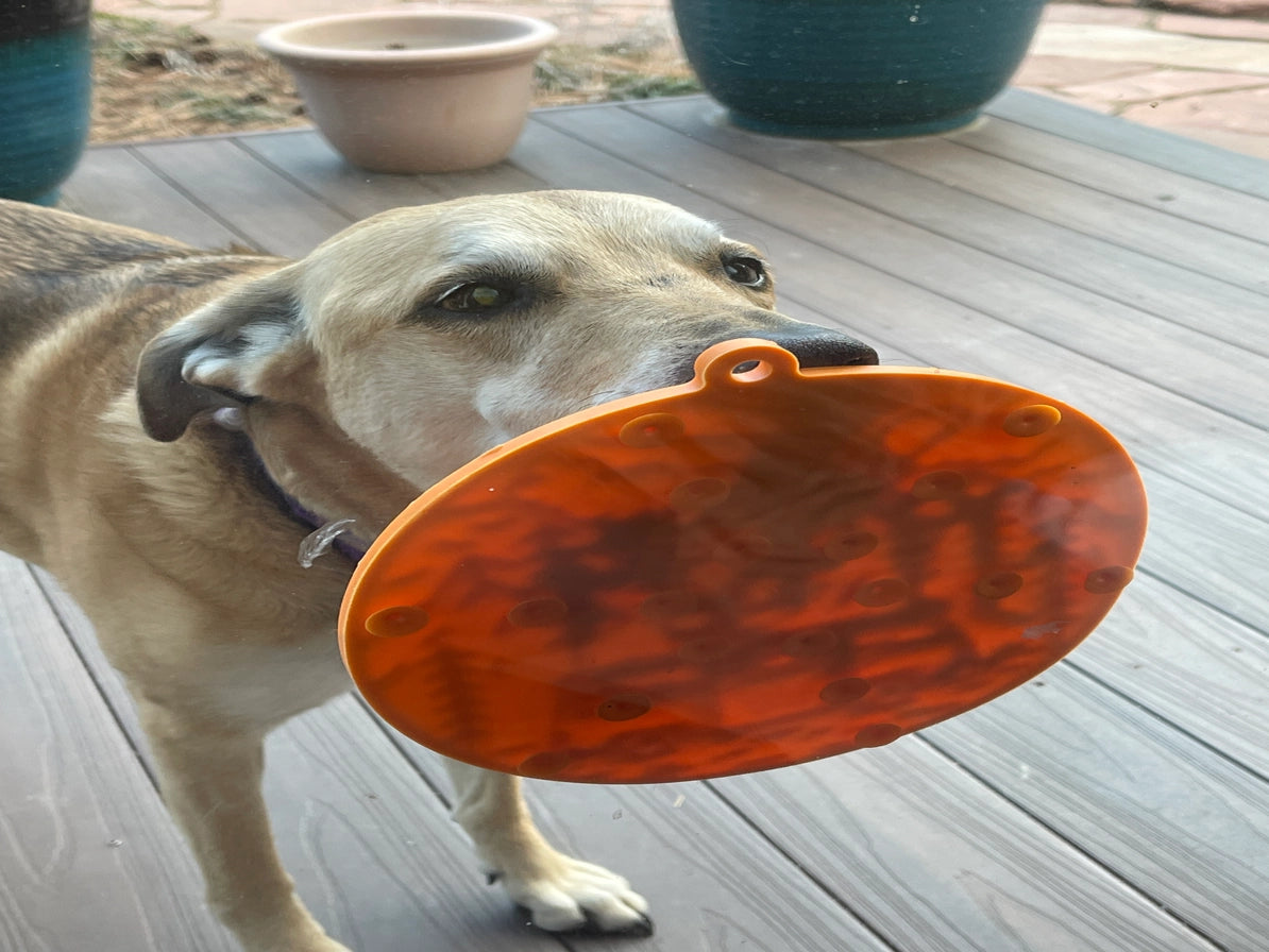 Camp Enrichment Lick Mat with Suction Cups