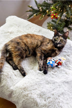 Christmas Nutcrackers Cat Toys, Set of 2, Pet Holiday Gift