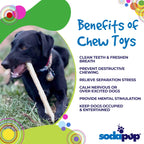Durable Nylon Chew Stick