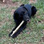 Durable Nylon Chew Stick