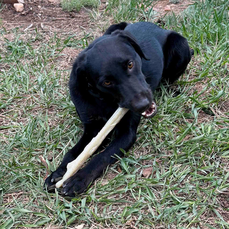 Durable Nylon Chew Stick