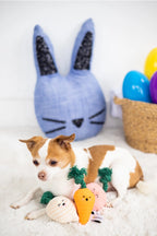 Plush Dog Toys For Supervised Play