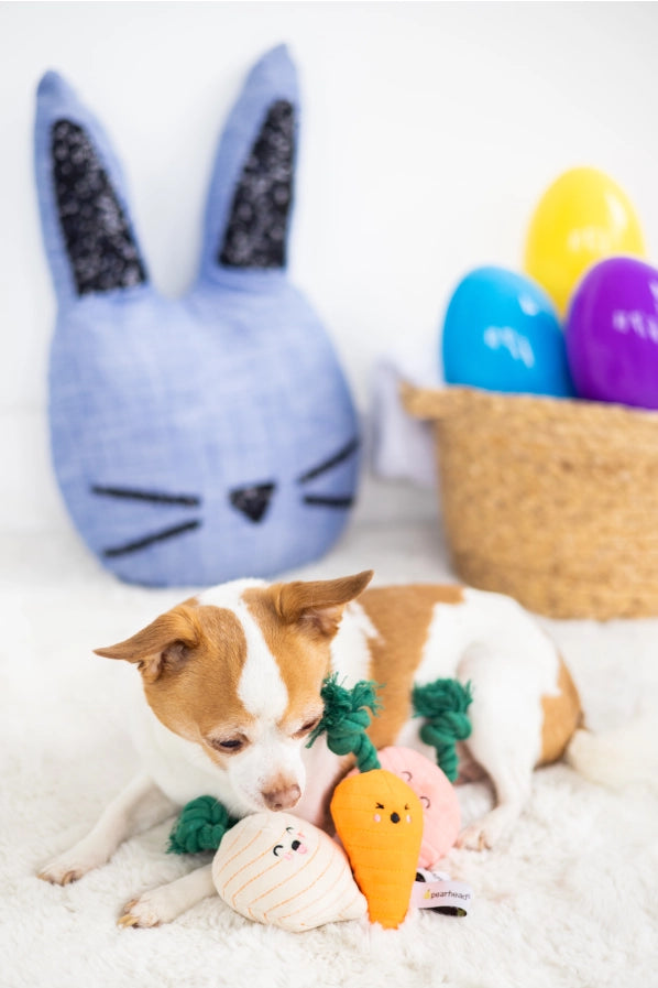Plush Dog Toys For Supervised Play
