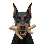 Ever Antler Nylon Chew Bone