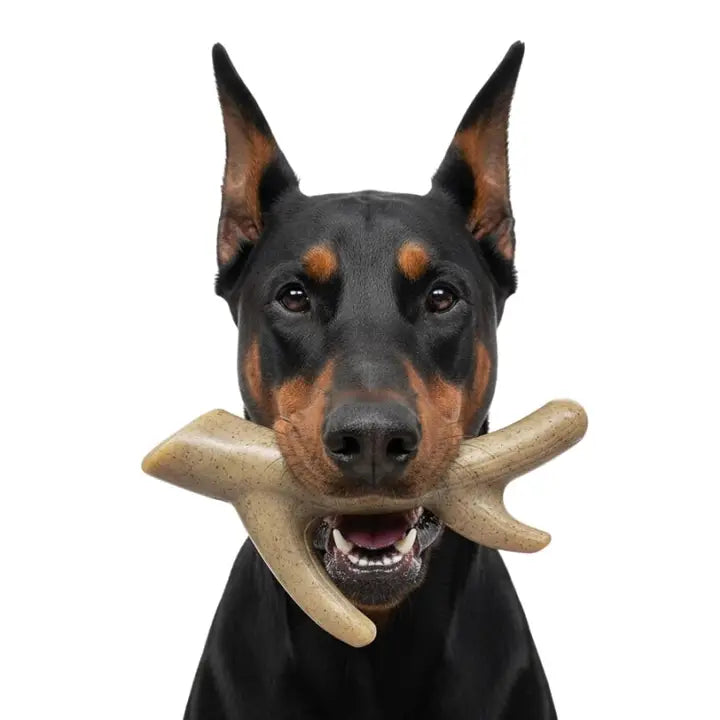 Ever Antler Nylon Chew Bone