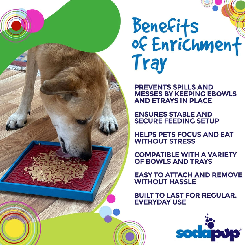 Hold 'em Suction Cup Holder For Ebowls, Etrays, and Emats