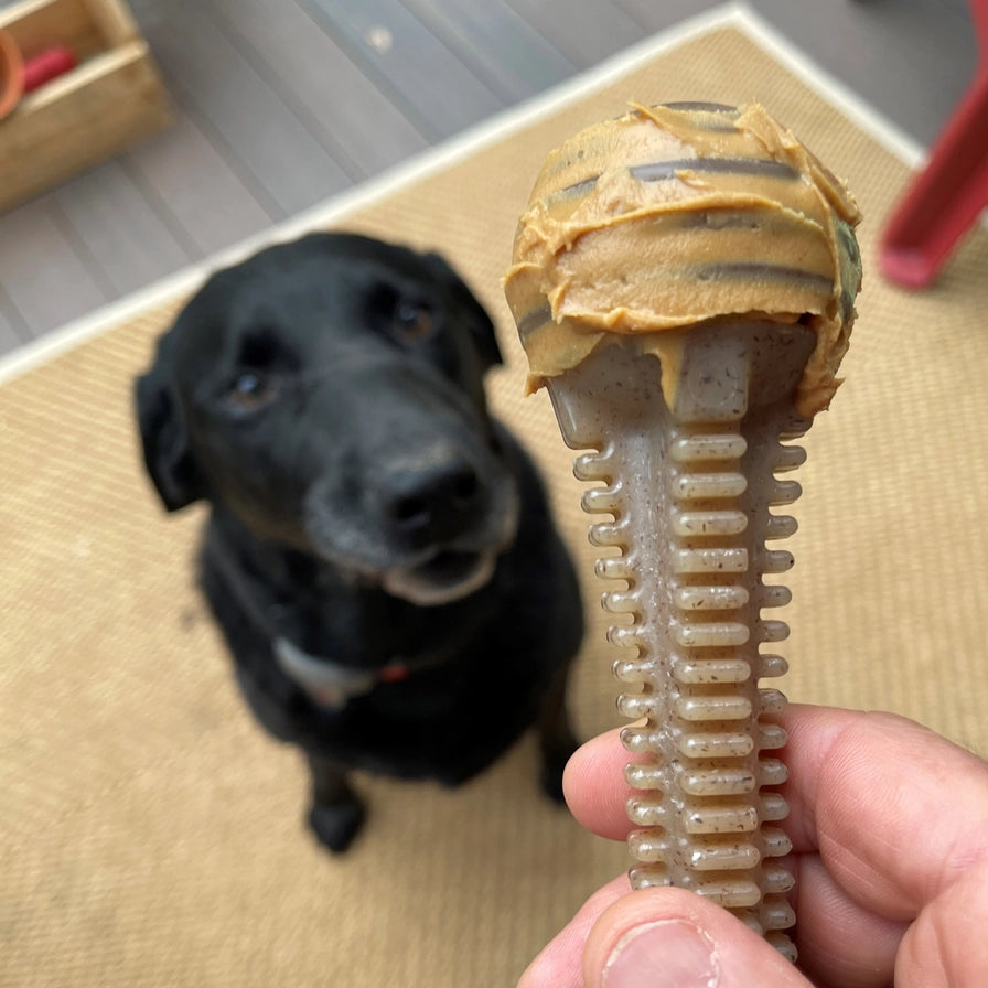 Honey Bone Dental Tower Ultra Durable Nylon Dog Chew Toy