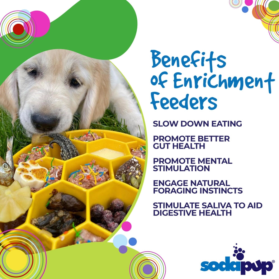 Honeycomb Design Ebowl Enrichment Slow Feeder Bowl For Dogs