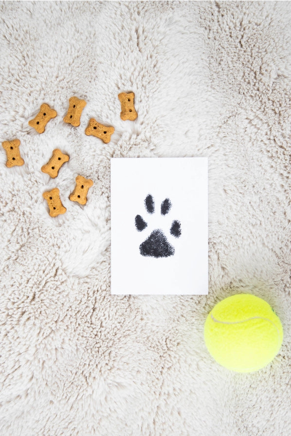 Pet Pawprint Clean-Touch Ink Pad, Medium/ Large, Black