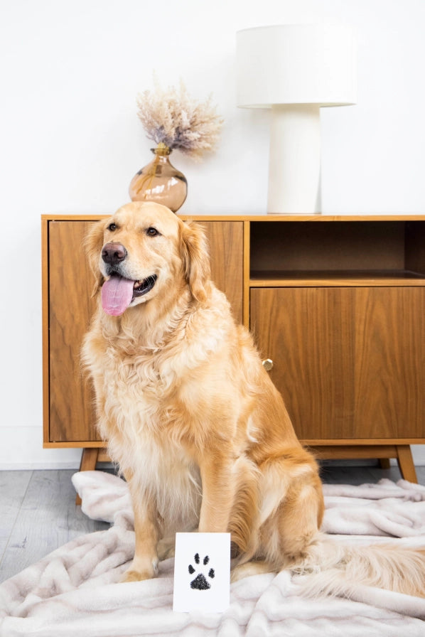 Pet Pawprint Clean-Touch Ink Pad, Medium/ Large, Black