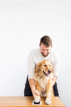 Pet Pawprint Clean-Touch Ink Pad, Medium/ Large, Black