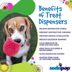 Pup-X Honey Pot Treat Dispenser