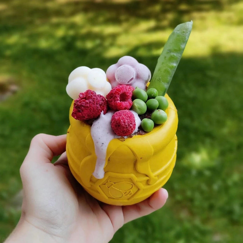 Pup-X Honey Pot Treat Dispenser