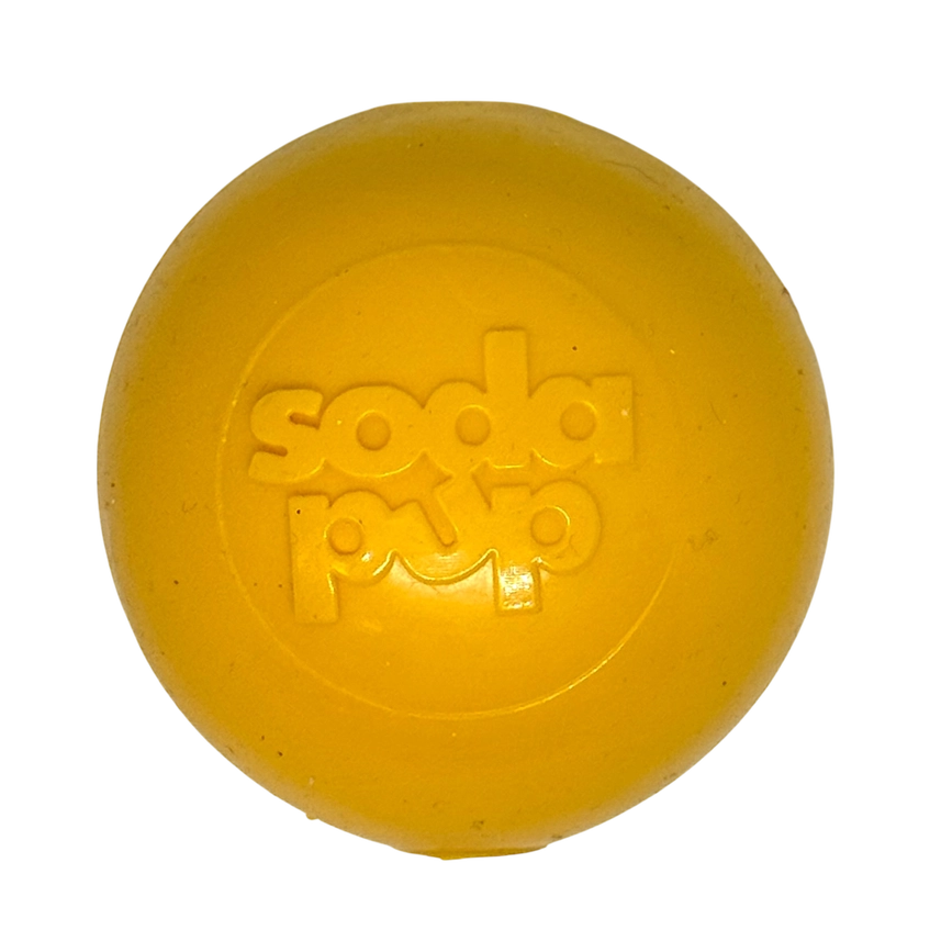 Squeak Ball Ultra Durable Pup-X Squeaking, Chewing, Floating & Retrieving Ball