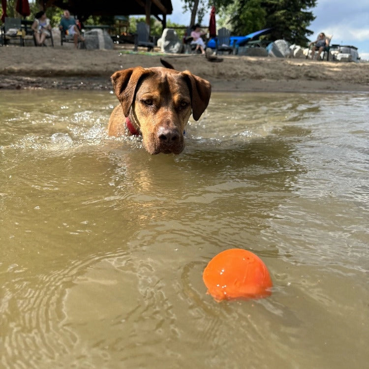 Squeak Ball Ultra Durable Pup-X Squeaking, Chewing, Floating & Retrieving Ball