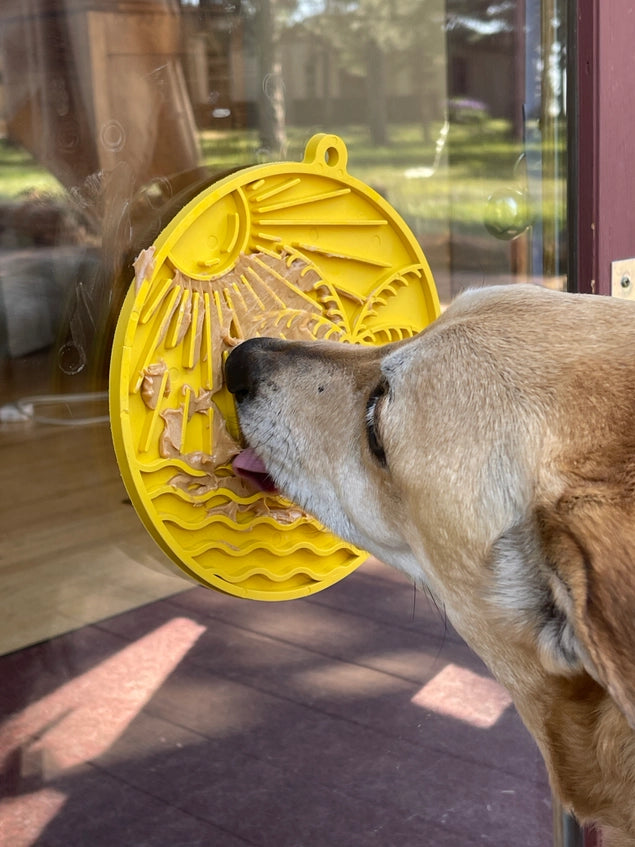 Sun N' Sea Emat Enrichment Lick Mat with Suction Cups