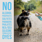 The Only Between Bath Spray Dogs Need
