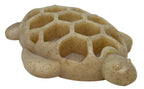 Turtle Durable Nylon Chew and Enrichment Toy