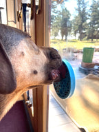 Turtle Emat-Mini Enrichment Lick Mat with Suction Cups