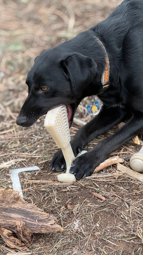 Waffle Tower Echew Durable Nylon Chew and Enrichment Toy