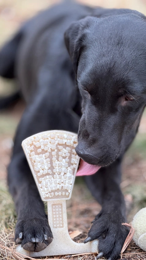 Waffle Tower Echew Durable Nylon Chew and Enrichment Toy