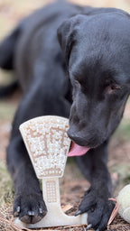 Waffle Tower Echew Durable Nylon Chew and Enrichment Toy